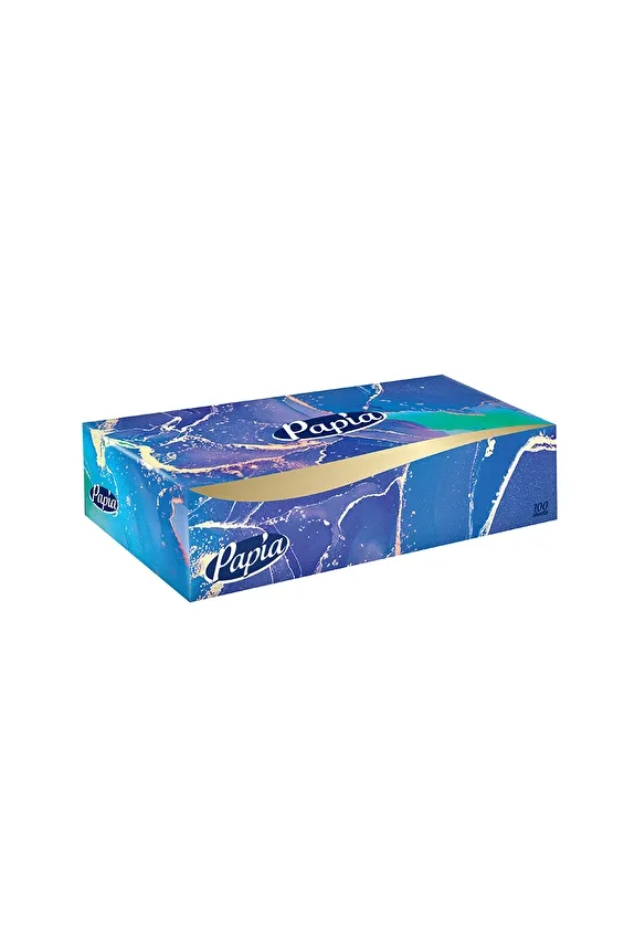Papia 2 Kat Kutu Mendil 100'lü