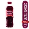 Doğanay Acılı Şalgam Suyu 300 ml